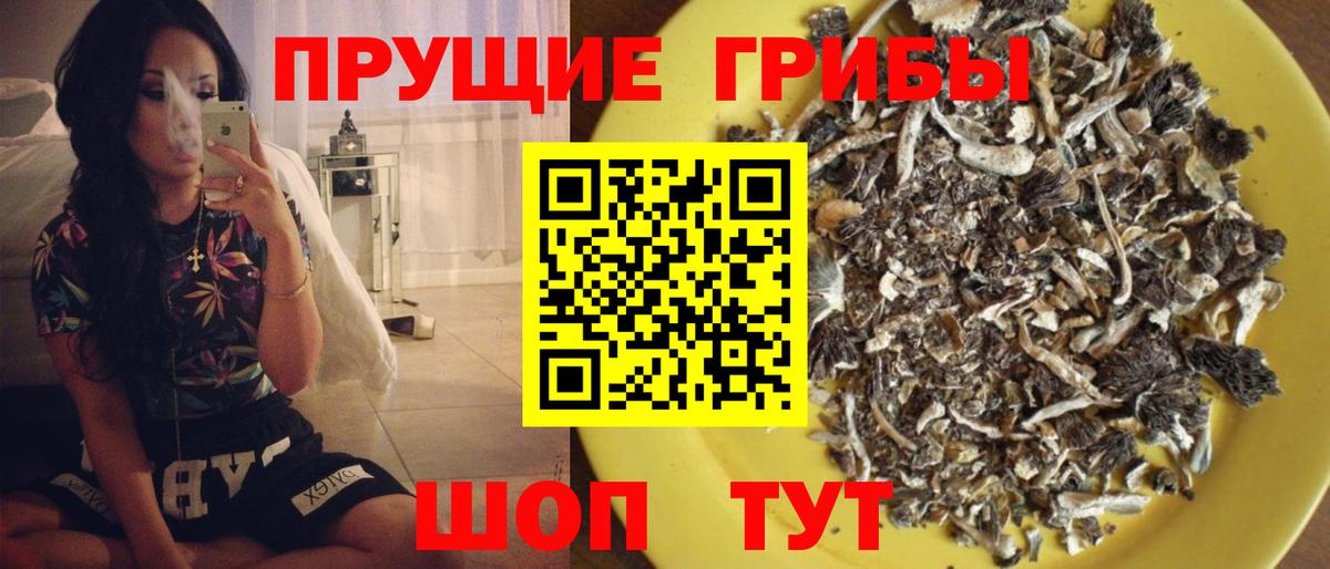 Галлюциногенные грибы Psilocybe Электросталь