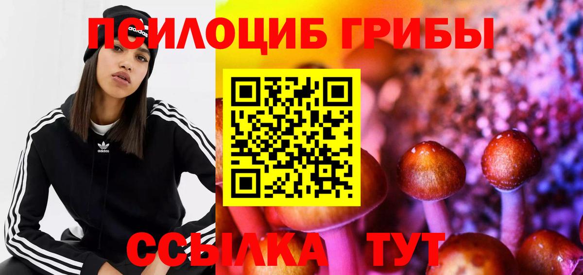 Электросталь  Псилоцибиновые грибы ЛСД  Вход с VPN 